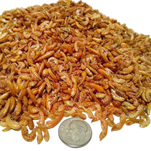 Gammarus: Freeze Dried, Great for Smaller Discus, Free Shipping Included